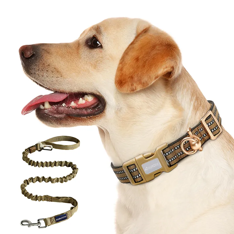 Air Tag Collar With The Stretch Dog Leash