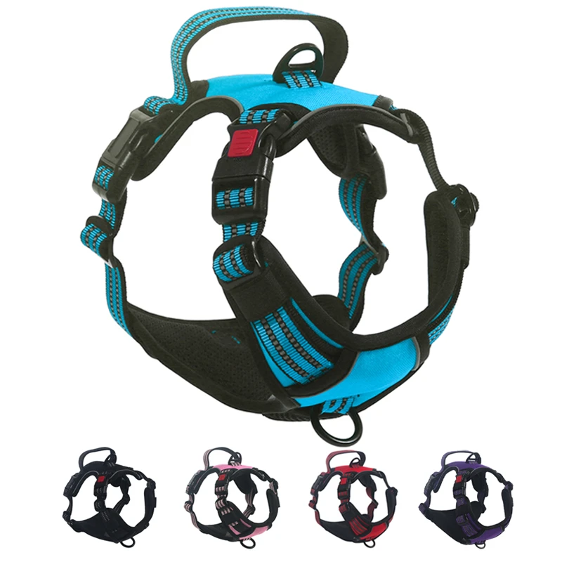 Hundegeschirr Basic Safety Design