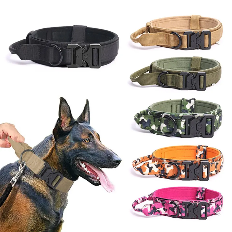 Personalisiertes taktisches Hundehalsband