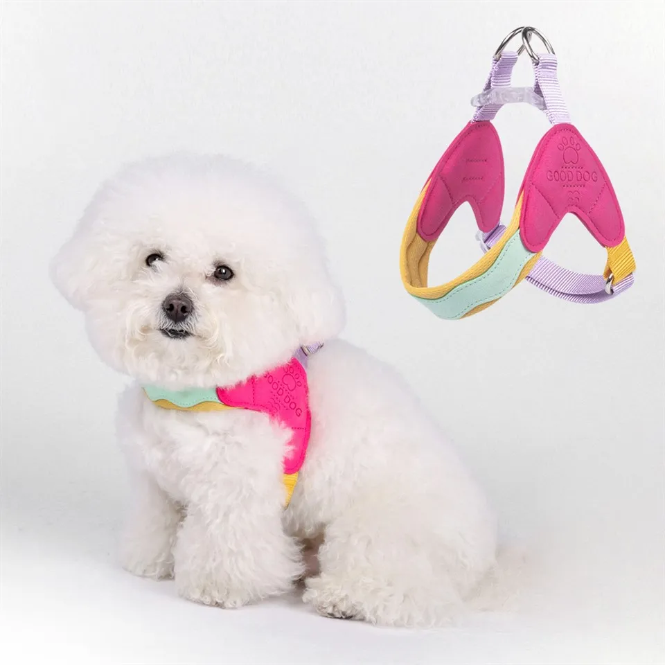 Welpengeschirre für kleine Hunde