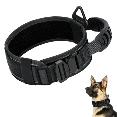 Breites taktisches Hundehalsband